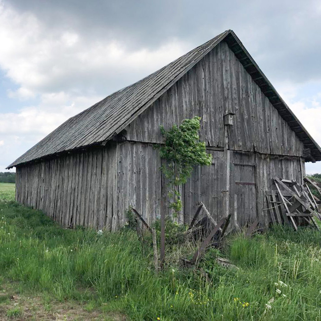 Reclaimed wood source - old barn